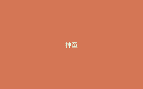 神童