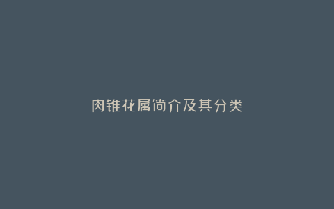 肉锥花属简介及其分类