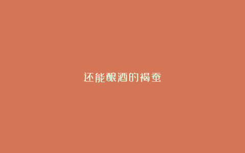 还能酿酒的褐蚕