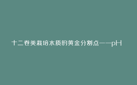 十二卷类栽培水质的黄金分割点——pH 5.0