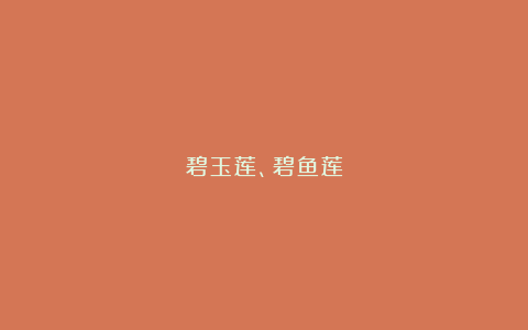 碧玉莲、碧鱼莲