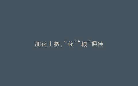 加花土参,“花”“根”俱佳