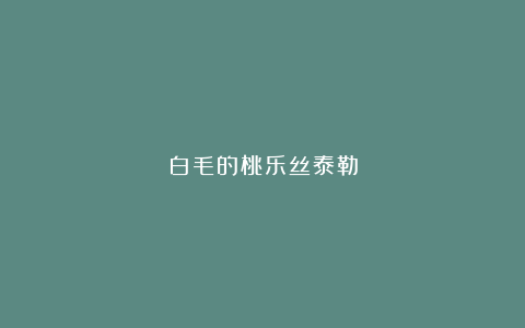 白毛的桃乐丝泰勒
