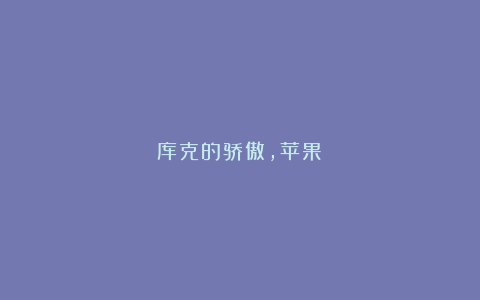 库克的骄傲,苹果?