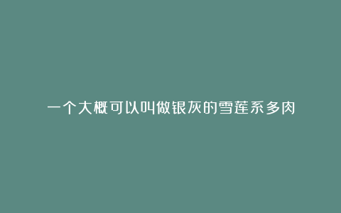 一个大概可以叫做银灰的雪莲系多肉