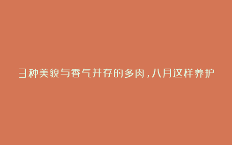 3种美貌与香气并存的多肉，八月这样养护，最快九月就会出状态