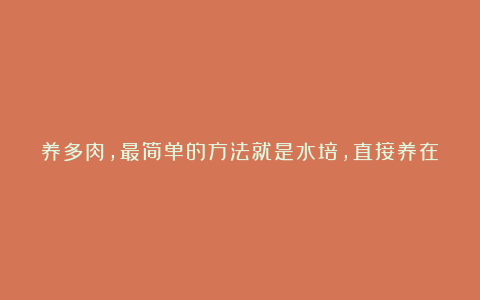 养多肉，最简单的方法就是水培，直接养在水里，万事无忧