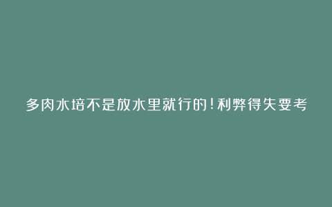 多肉水培不是放水里就行的!利弊得失要考虑