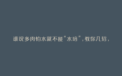 谁说多肉怕水就不能“水培”，教你几招，不用土都能养得旺