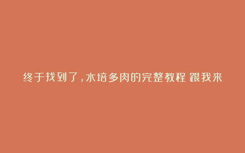 终于找到了，水培多肉的完整教程！跟我来！