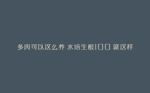 多肉可以这么养？水培生根100%就这样搞