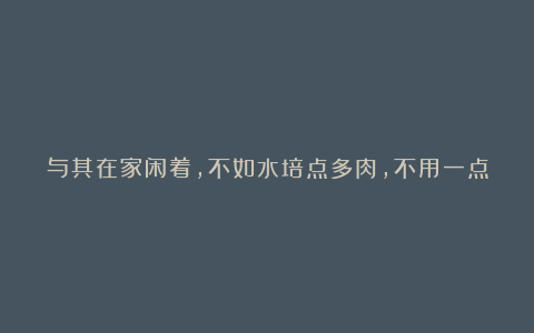 与其在家闲着，不如水培点多肉，不用一点土壤照样能生根发芽！