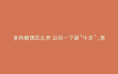 多肉植物怎么养？总结一下就“4步”，黑腐化水不存在，越养越美