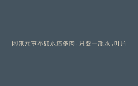 闲来无事不如水培多肉，只要一瓶水，叶片就能生根发芽