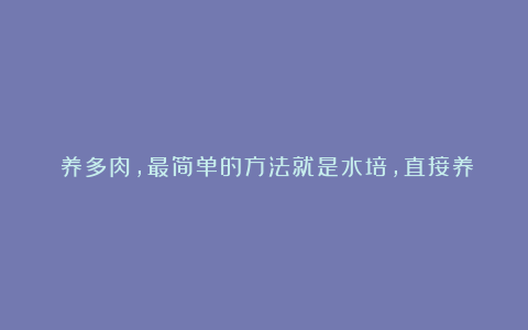 ​养多肉，最简单的方法就是水培，直接养在水里，万事无忧