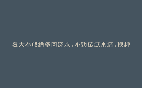 夏天不敢给多肉浇水，不妨试试水培，换种方式，体验别样的乐趣