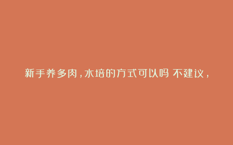 新手养多肉，水培的方式可以吗？不建议，失去了养护意义