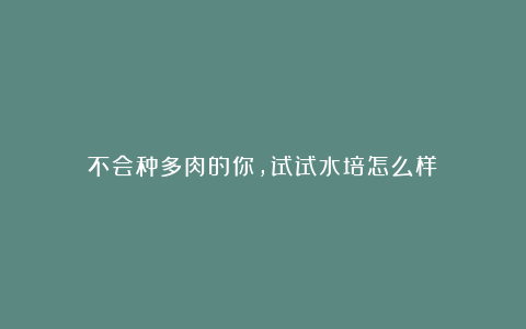 不会种多肉的你，试试水培怎么样？