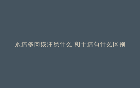 水培多肉该注意什么？和土培有什么区别？