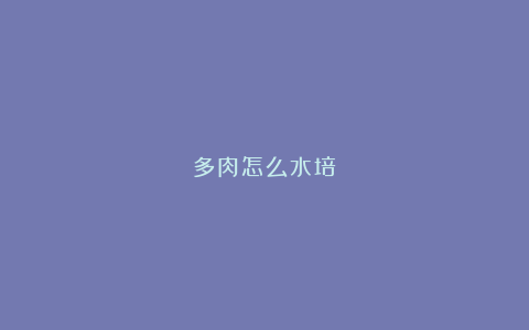 多肉怎么水培