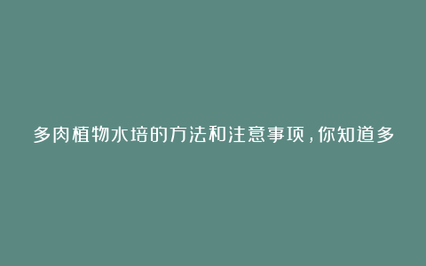 多肉植物水培的方法和注意事项，你知道多少？