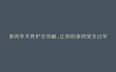 多肉冬天养护全攻略，让你的多肉安全过冬！