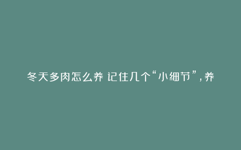 冬天多肉怎么养？记住几个“小细节”，养出状态很简单