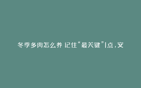 冬季多肉怎么养？记住“最关键”1点，安稳越冬没问题