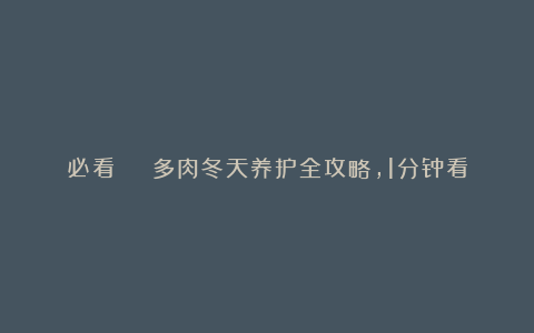 必看 | 多肉冬天养护全攻略，1分钟看完，保证多肉越冬零伤亡！