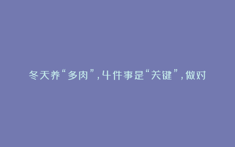 冬天养“多肉”，4件事是“关键”，做对了，肥嘟嘟颜色艳丽