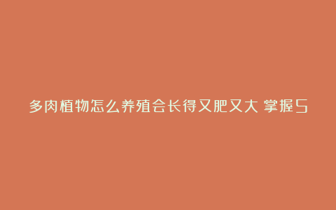 多肉植物怎么养殖会长得又肥又大？掌握5个方法即可