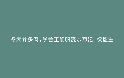 冬天养多肉，学会正确的浇水方法，快速生长，猛爆侧芽