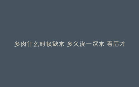 多肉什么时候缺水？多久浇一次水？看后才知道，不再化水！