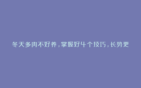 冬天多肉不好养，掌握好4个技巧，长势更旺盛