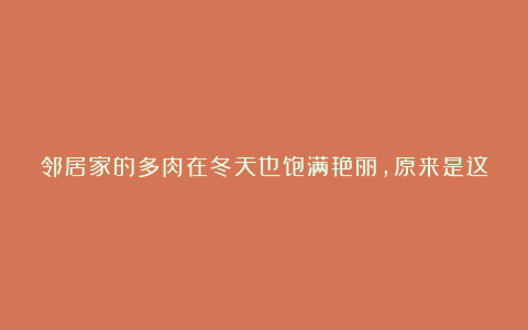 邻居家的多肉在冬天也饱满艳丽，原来是这样养出来的，简单又管用