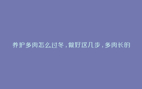 养护多肉怎么过冬，做好这几步，多肉长的肉嘟嘟，安全度过冬天