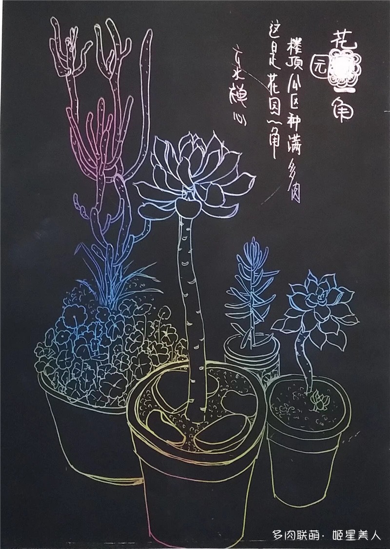 多肉手绘（刮画纸）