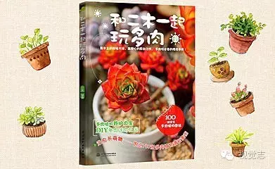 难以置信别养多肉，会中毒！ -2