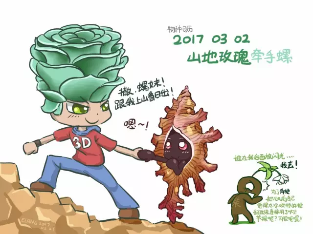 难以置信“开花母猪死”这句多肉圈俚语，是怎么流行起来的？ -3