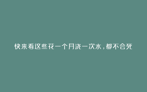 快来看这些花一个月浇一次水，都不会死！