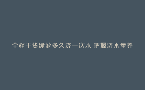 全程干货绿萝多久浇一次水？把握浇水量养出好绿萝~~~