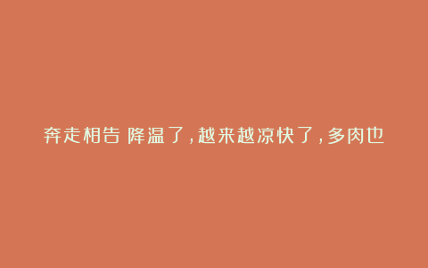 奔走相告​降温了，越来越凉快了，多肉也该浇水了，补充水分，加快生长