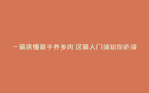 一篇读懂新手养多肉︱这篇入门须知你必须要看