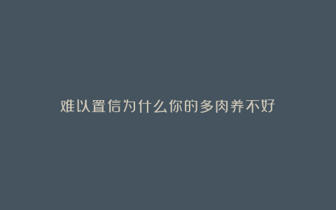 难以置信为什么你的多肉养不好？