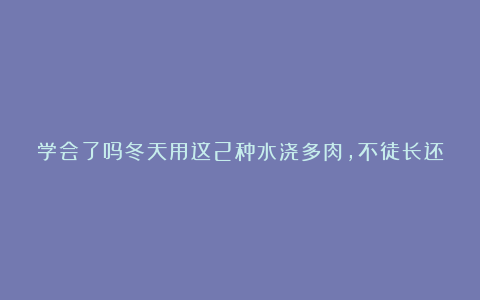 学会了吗冬天用这2种水浇多肉，不徒长还长大个！