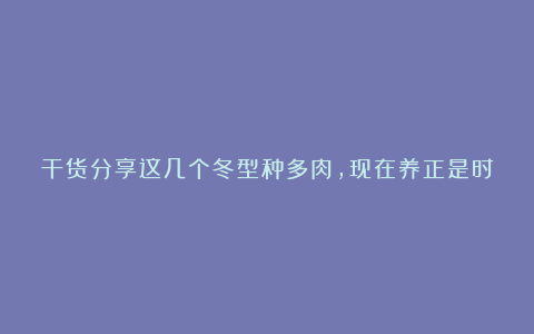 干货分享这几个冬型种多肉，现在养正是时候