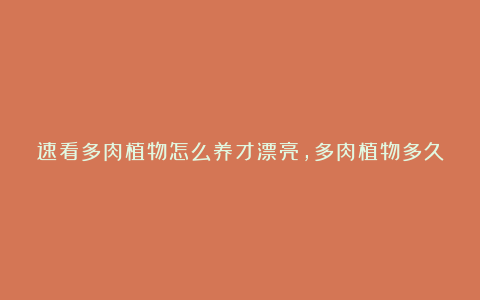 速看多肉植物怎么养才漂亮，多肉植物多久浇一次水