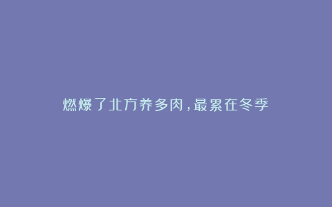 燃爆了北方养多肉，最累在冬季？