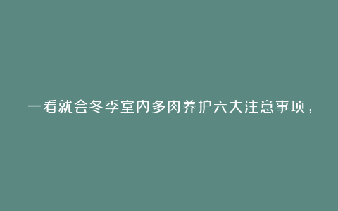 一看就会冬季室内多肉养护六大注意事项，让肉肉安然过冬！