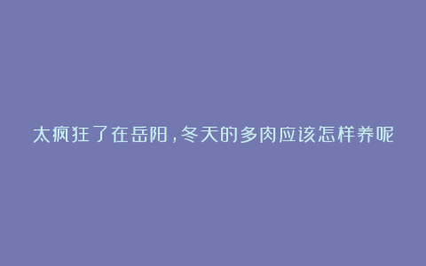 太疯狂了在岳阳，冬天的多肉应该怎样养呢？